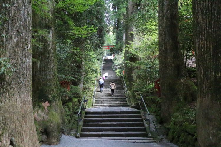 鈴原トウジと相田ケンスケが戦いを観戦していた場所
