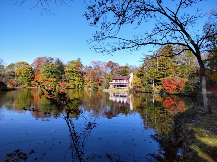 真紀とすずめと別府司と家森諭高が記念写真を撮った湖畔