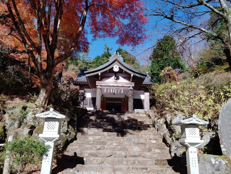 【第3話】鈴原トウジと相田ケンスケが観戦していた場所