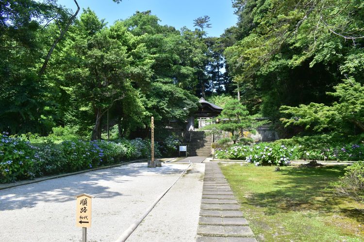 オープニングに登場する寺