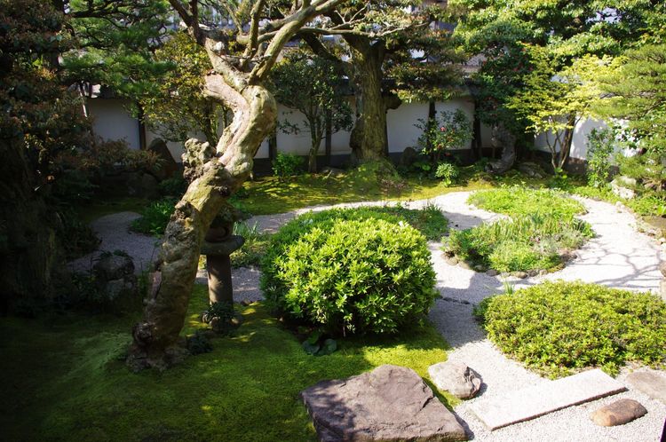 オープニングに登場する和風の家