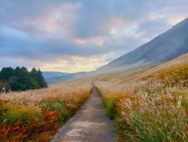 【第4話】相田ケンスケがサバゲーをしていた草原